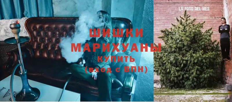 купить наркотик  Кирсанов  Марихуана OG Kush 